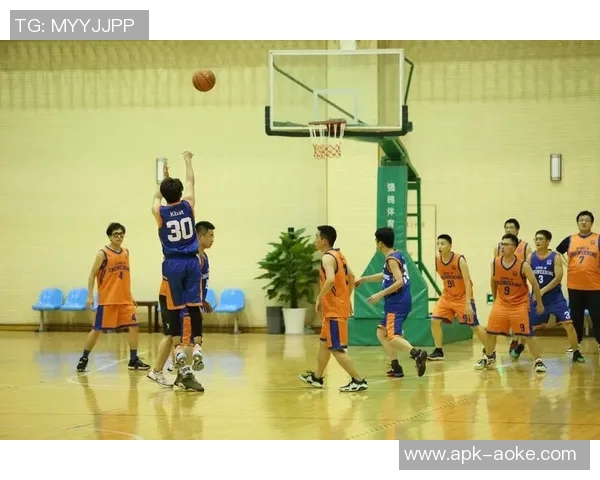 探索IC篮球的魅力与发展潜力助力青少年体育成长之路 探索IC篮球的魅力与发展潜力助力青少年体育成长之路